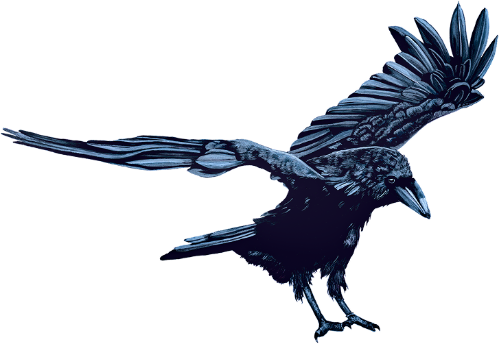 Crow